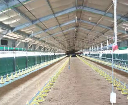 Construcción prefabricada de estructuras metálicas Granjas de vacas lecheras Granjas de cabras Casa de cultivo de acero ligero Marco de caballo Granero Estructura de acero Casa de aves de corral