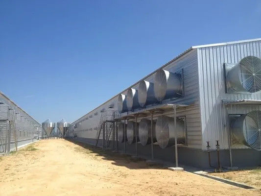 Construcción de edificios de acero de gran altura para la casa de aves de corral