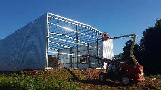 ODM Łatwo stalowa konstrukcja fabryka magazyn budynki stalowe wytworzone do przechowywania w zakładach paszowych